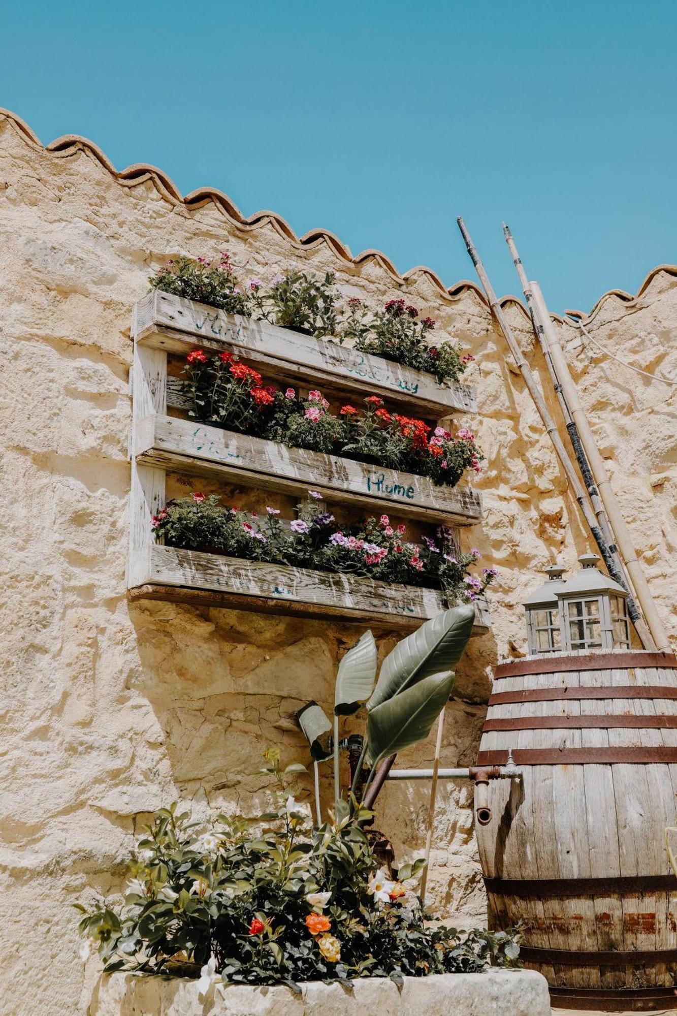 Balcone Mediterraneo - Donnalucata & Marina Di Ragusa Ngoại thất bức ảnh